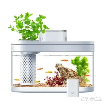 鱼缸生态过滤_微型鱼缸 小型鱼缸 创意鱼缸