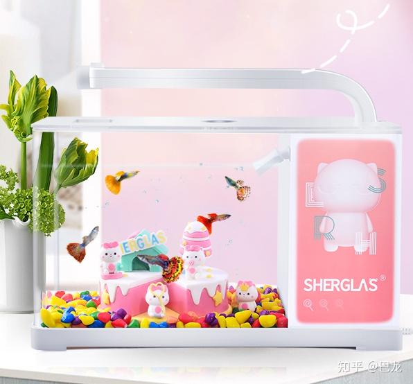 鱼缸生态过滤_微型鱼缸 小型鱼缸 创意鱼缸