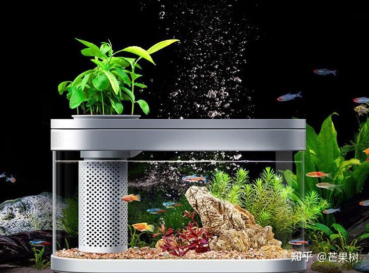 鱼缸十大品牌排名 森森鱼缸 佳宝JEBO鱼缸_鱼缸生态过滤