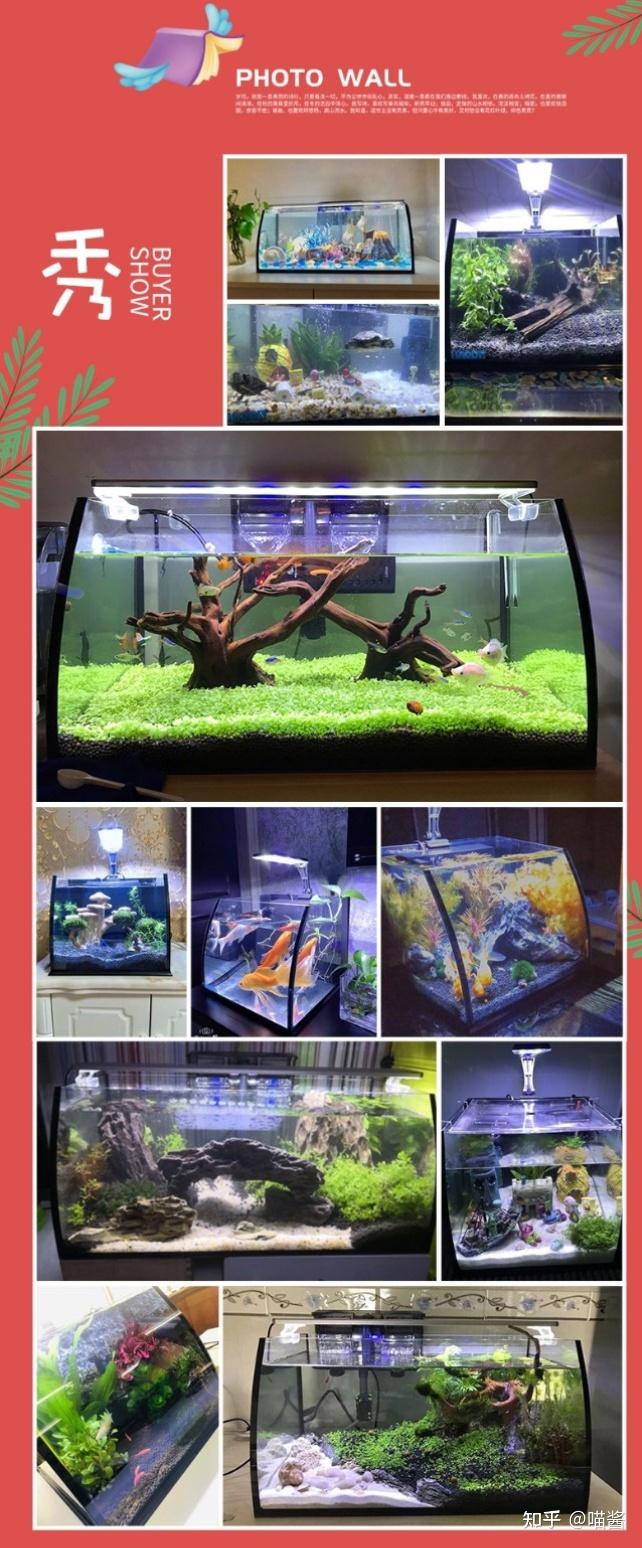 鱼缸生态过滤_鱼缸材质选择浮法玻璃超白玻璃_鱼缸大小选择家庭用缸规格