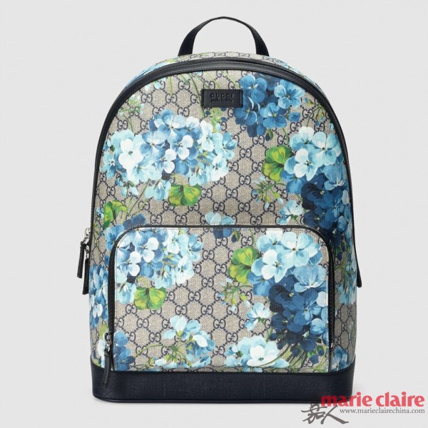 双肩包款式选择_古驰男士双肩包推荐_gucci贝壳包经典吗