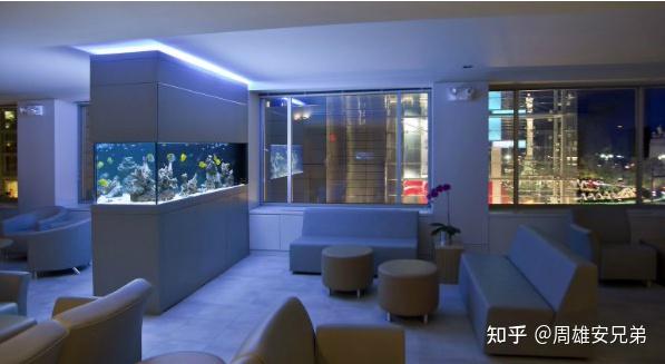 鱼缸生态过滤_鱼缸品牌推荐_鱼缸过滤系统选择