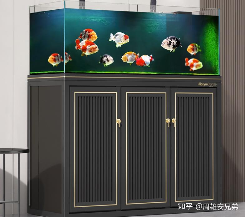 鱼缸过滤系统选择_鱼缸品牌推荐_鱼缸生态过滤