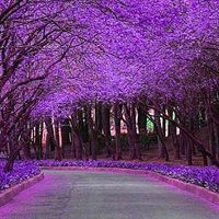 光伏板块概念股_太阳能电池片上市公司_北京光伏发电加盟代理