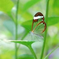 北京光伏发电加盟代理_光伏板块概念股_太阳能电池片上市公司