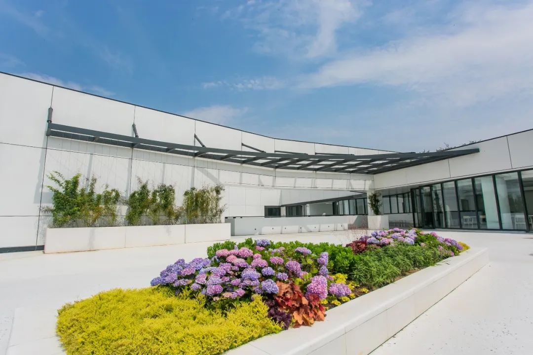 Ui ART Center_苏大宝沙画艺术中心_嘉德宥爱艺术中心