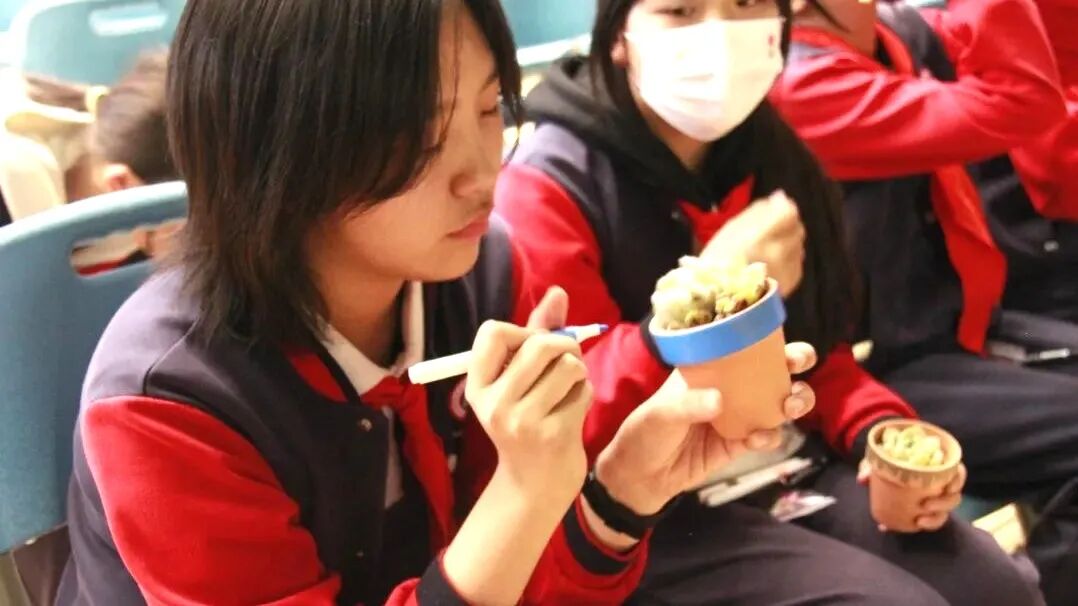 生态文明建设 讲座_北京市海淀区生态文明教育实践_校园垃圾分类指导活动