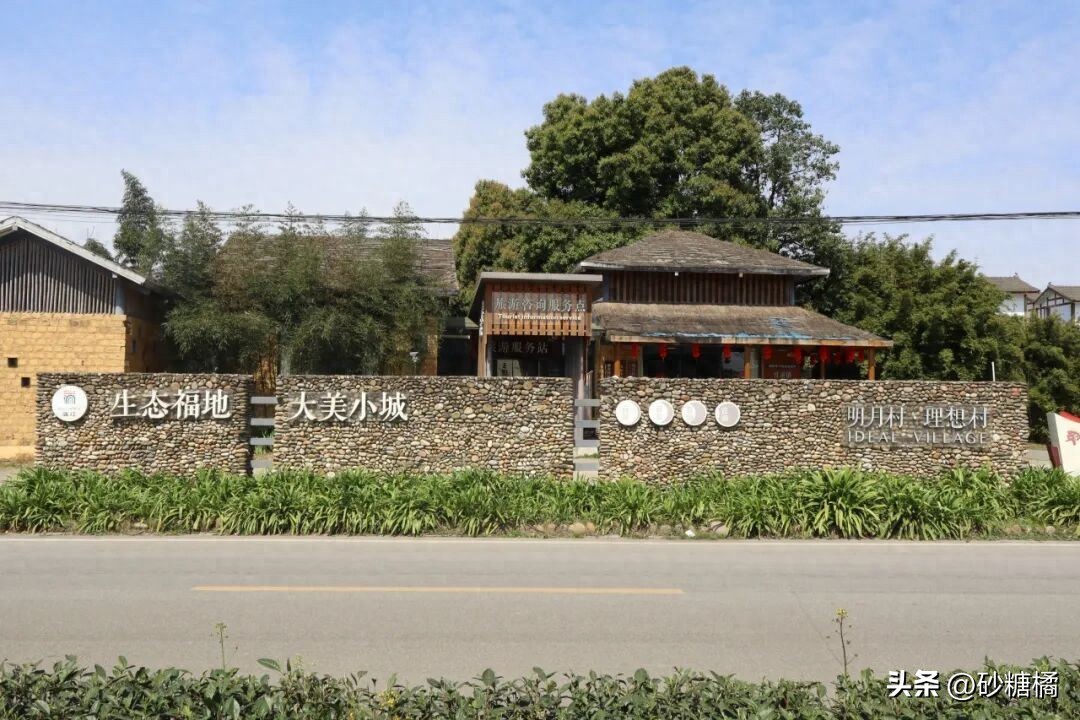 明月村采茶体验_成都明月村旅游攻略_蒲江明月村