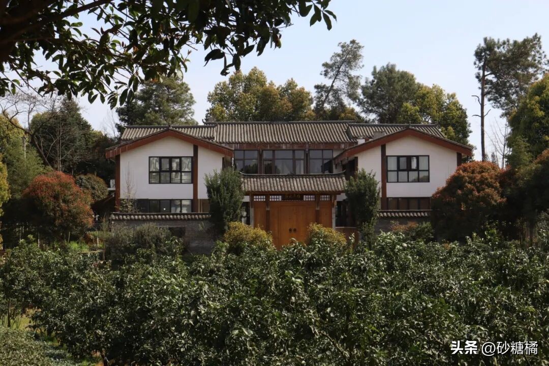 蒲江明月村_明月村采茶体验_成都明月村旅游攻略