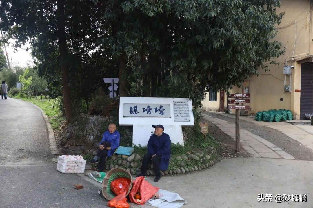 明月村采茶体验_成都明月村旅游攻略_蒲江明月村