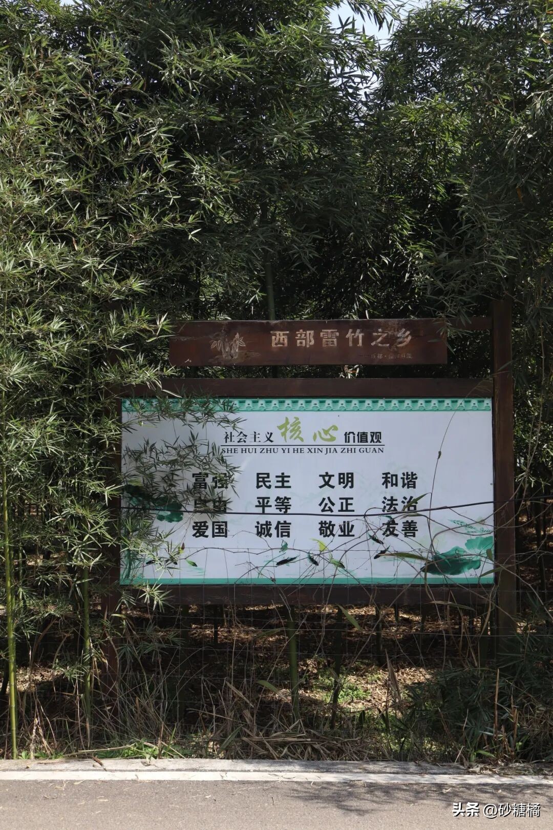 蒲江明月村_明月村采茶体验_成都明月村旅游攻略