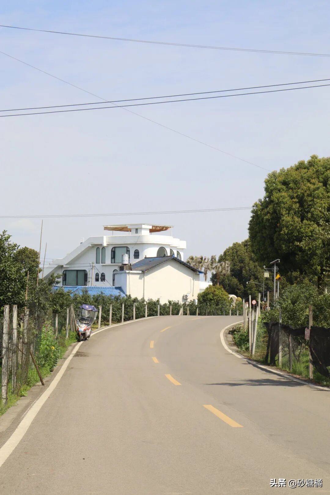 成都明月村旅游攻略_蒲江明月村_明月村采茶体验