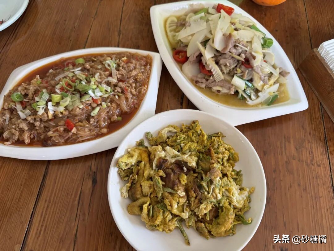 蒲江明月村_成都明月村旅游攻略_明月村采茶体验