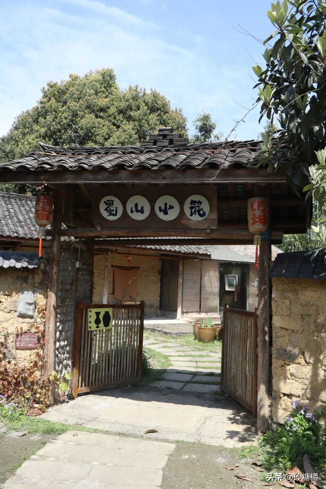 蒲江明月村_成都明月村旅游攻略_明月村采茶体验