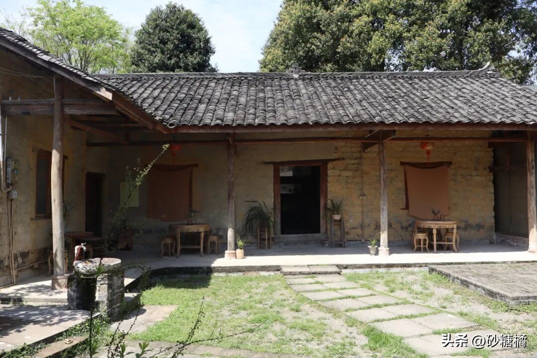 明月村采茶体验_蒲江明月村_成都明月村旅游攻略