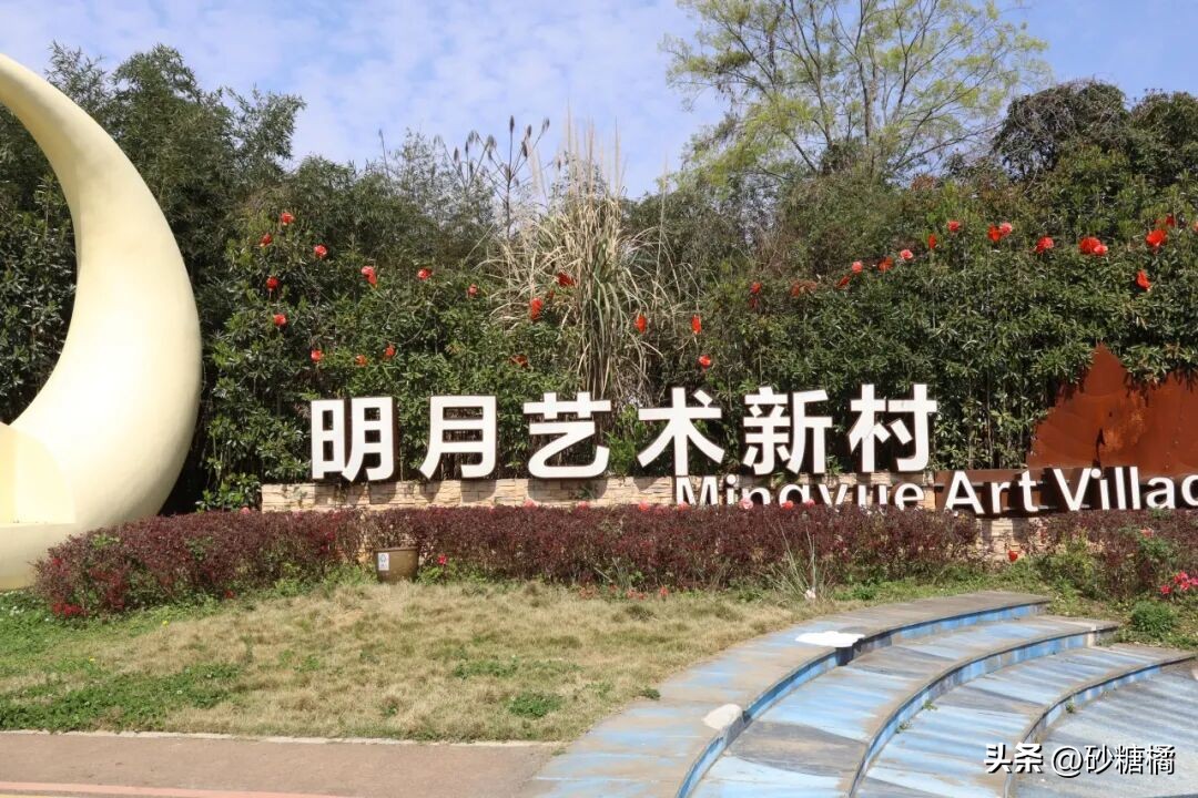 明月村采茶体验_蒲江明月村_成都明月村旅游攻略