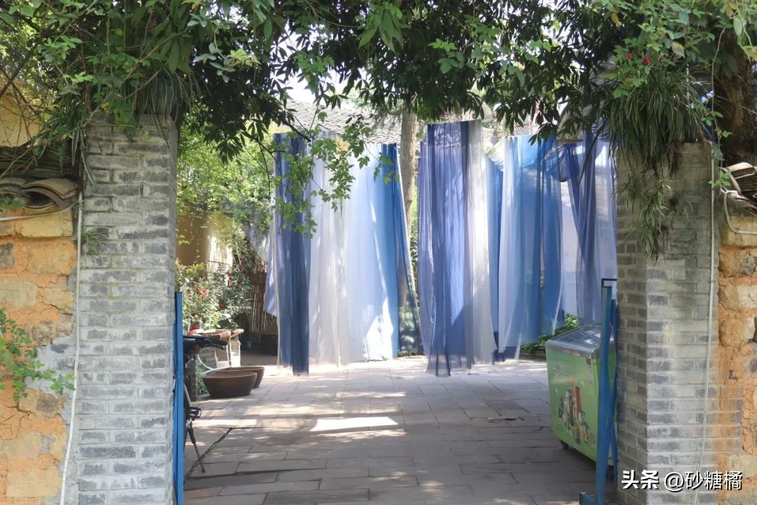 明月村采茶体验_成都明月村旅游攻略_蒲江明月村