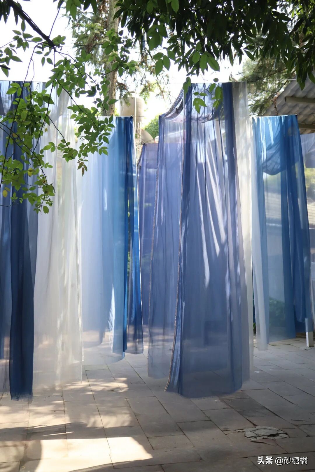 明月村采茶体验_蒲江明月村_成都明月村旅游攻略