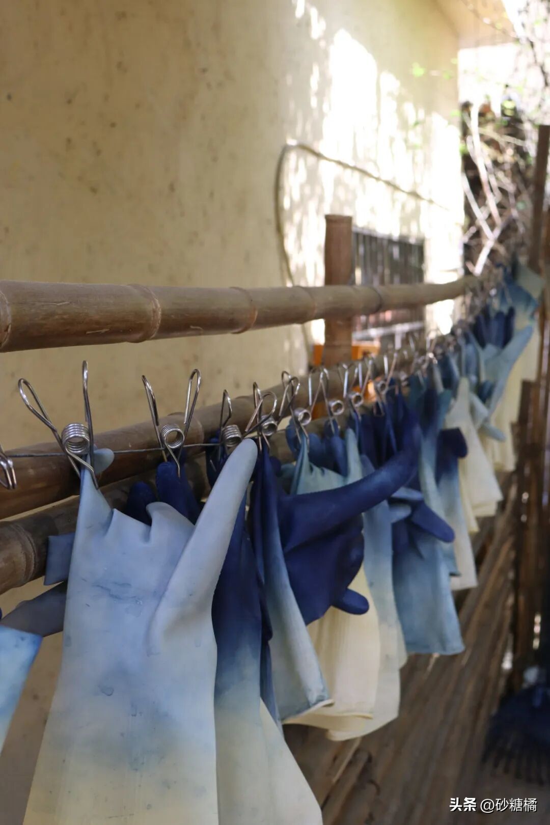 成都明月村旅游攻略_蒲江明月村_明月村采茶体验