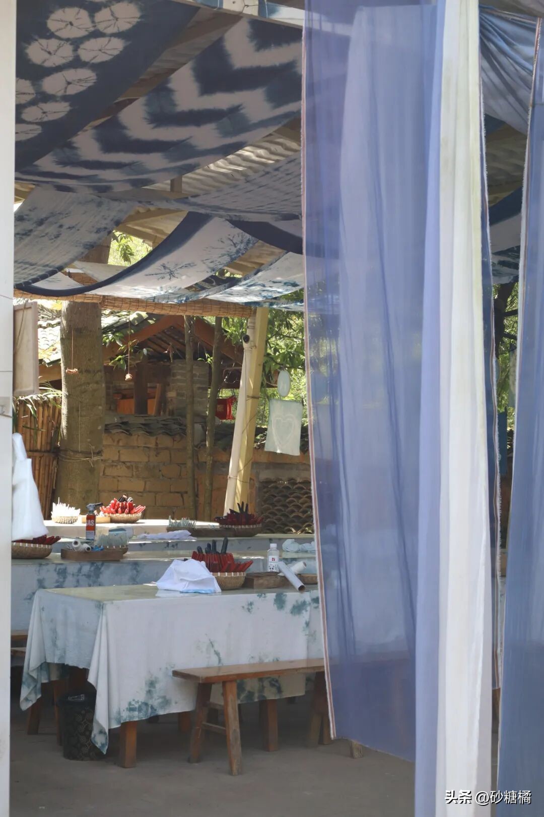 明月村采茶体验_成都明月村旅游攻略_蒲江明月村