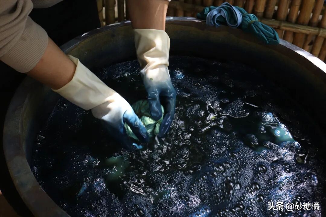 明月村采茶体验_蒲江明月村_成都明月村旅游攻略