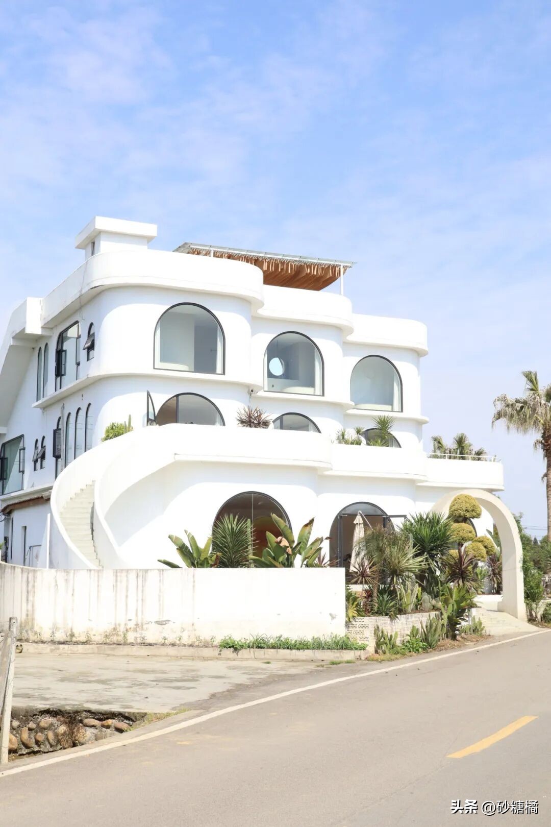 蒲江明月村_成都明月村旅游攻略_明月村采茶体验