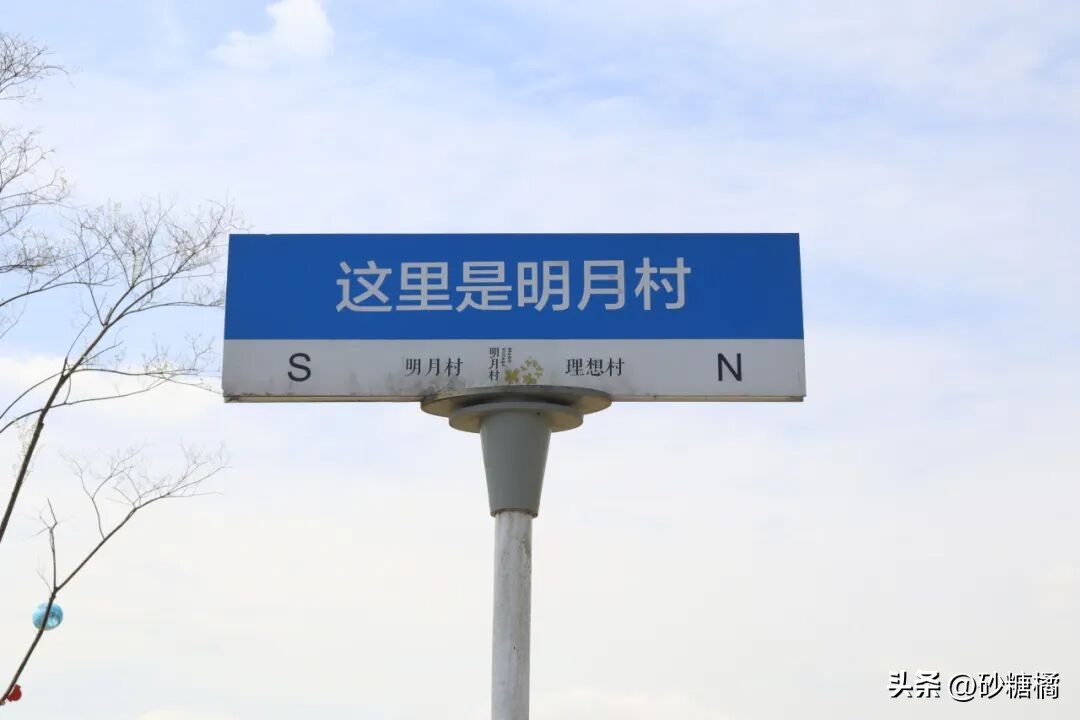 蒲江明月村_成都明月村旅游攻略_明月村采茶体验