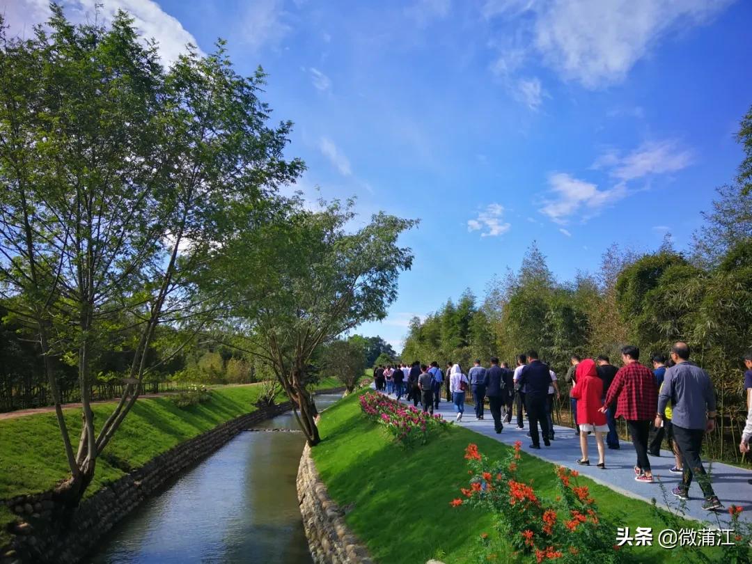 明月窑文创旅游_蒲江明月村_明月村农旅融合