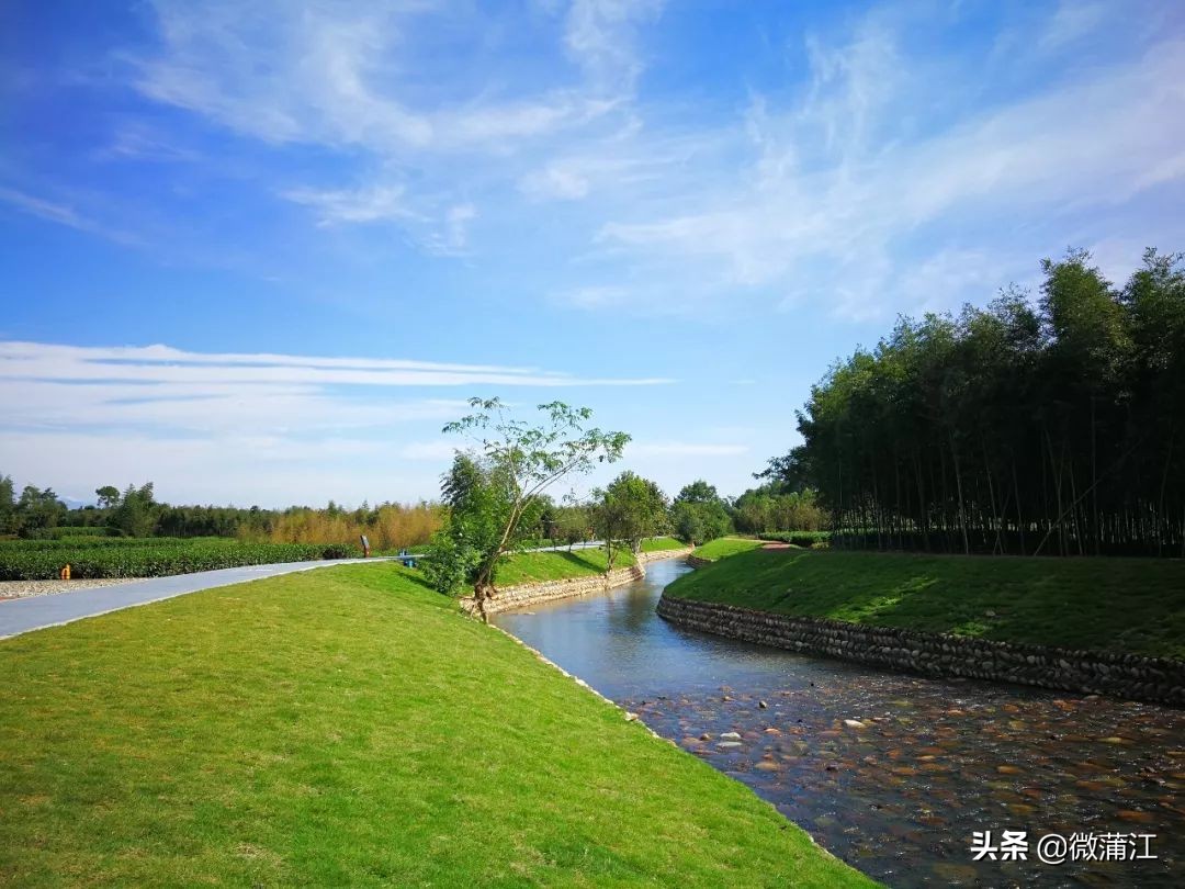 四川十大文旅新地标_蒲江明月村投票_蒲江明月村