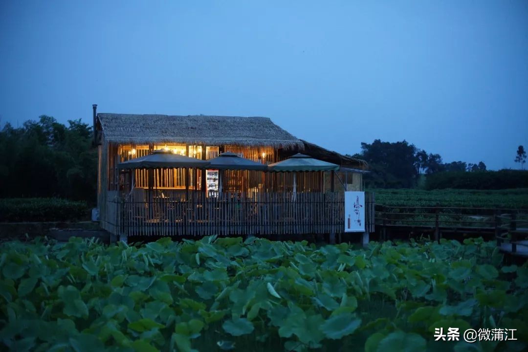 蒲江明月村投票_四川十大文旅新地标_蒲江明月村