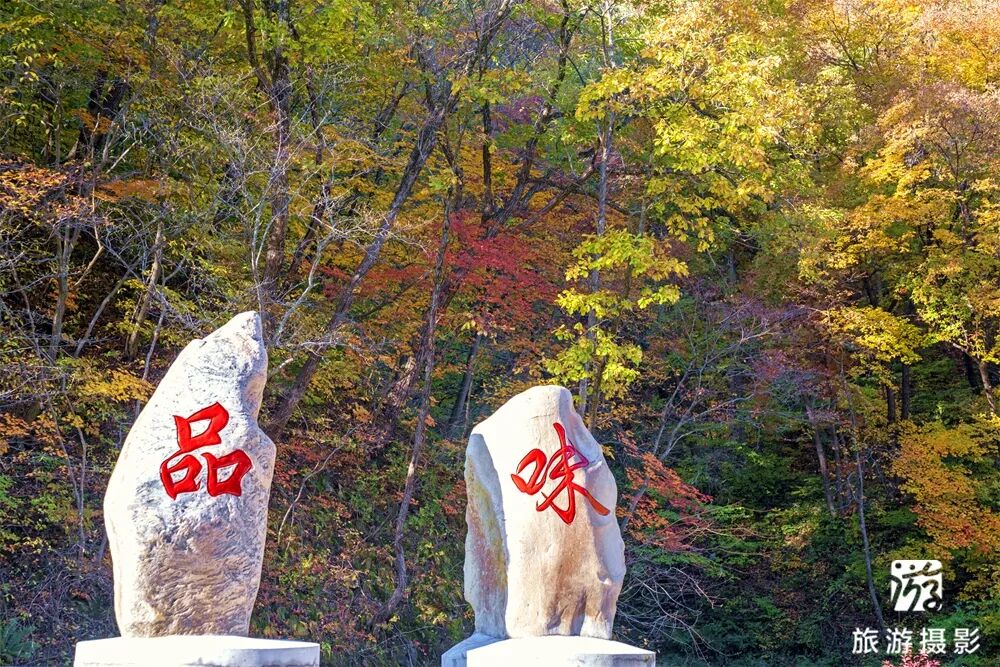 清原红河峡谷漂流景区_抚顺红河谷漂流电话_中国北方第一漂