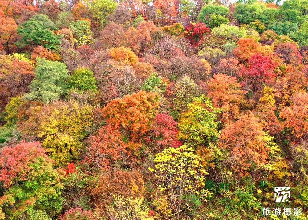 抚顺红河谷漂流电话_中国北方第一漂_清原红河峡谷漂流景区