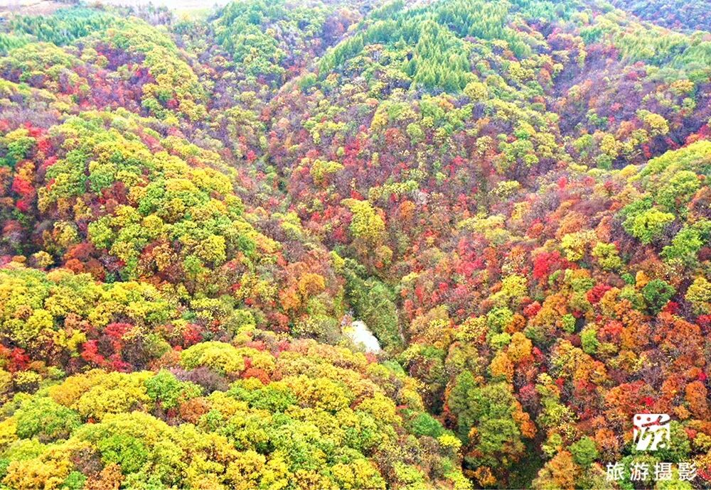 清原红河峡谷漂流景区_中国北方第一漂_抚顺红河谷漂流电话