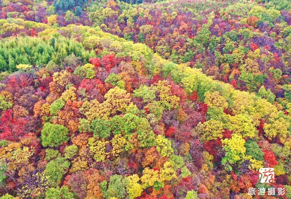 抚顺红河谷漂流电话_清原红河峡谷漂流景区_中国北方第一漂