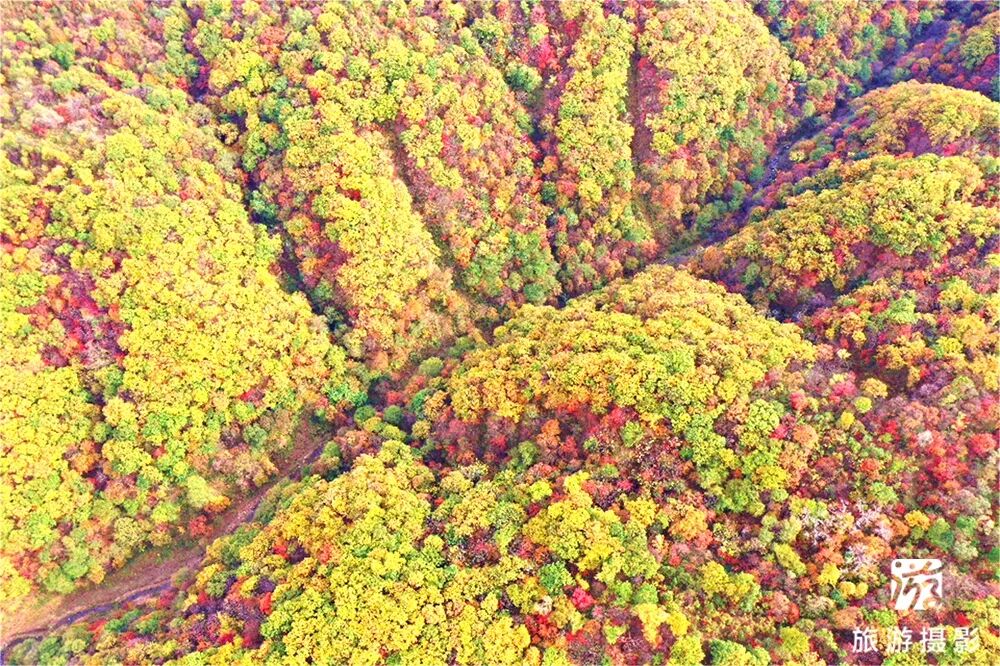 中国北方第一漂_清原红河峡谷漂流景区_抚顺红河谷漂流电话