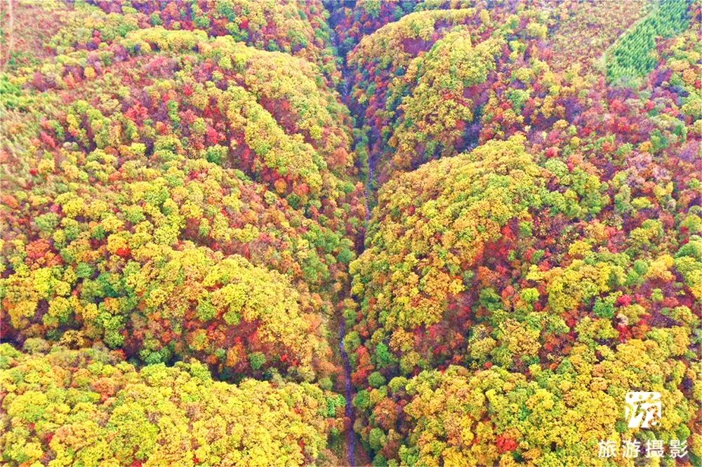 清原红河峡谷漂流景区_中国北方第一漂_抚顺红河谷漂流电话