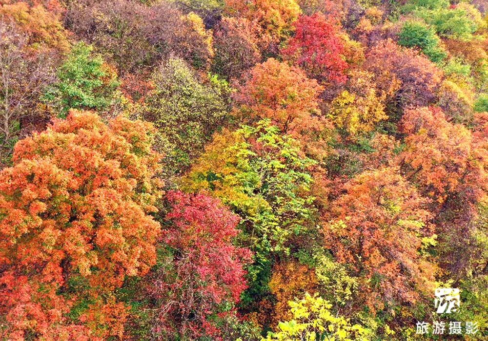 抚顺红河谷漂流电话_中国北方第一漂_清原红河峡谷漂流景区