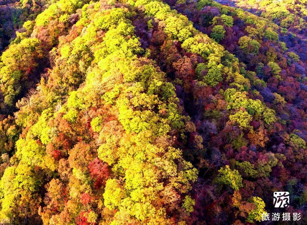 抚顺红河谷漂流电话_清原红河峡谷漂流景区_中国北方第一漂