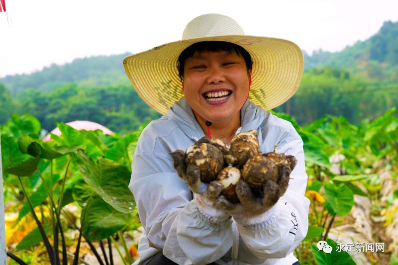 传统农谚精准农业_农谚与科技融合_生态农业技术与产业化