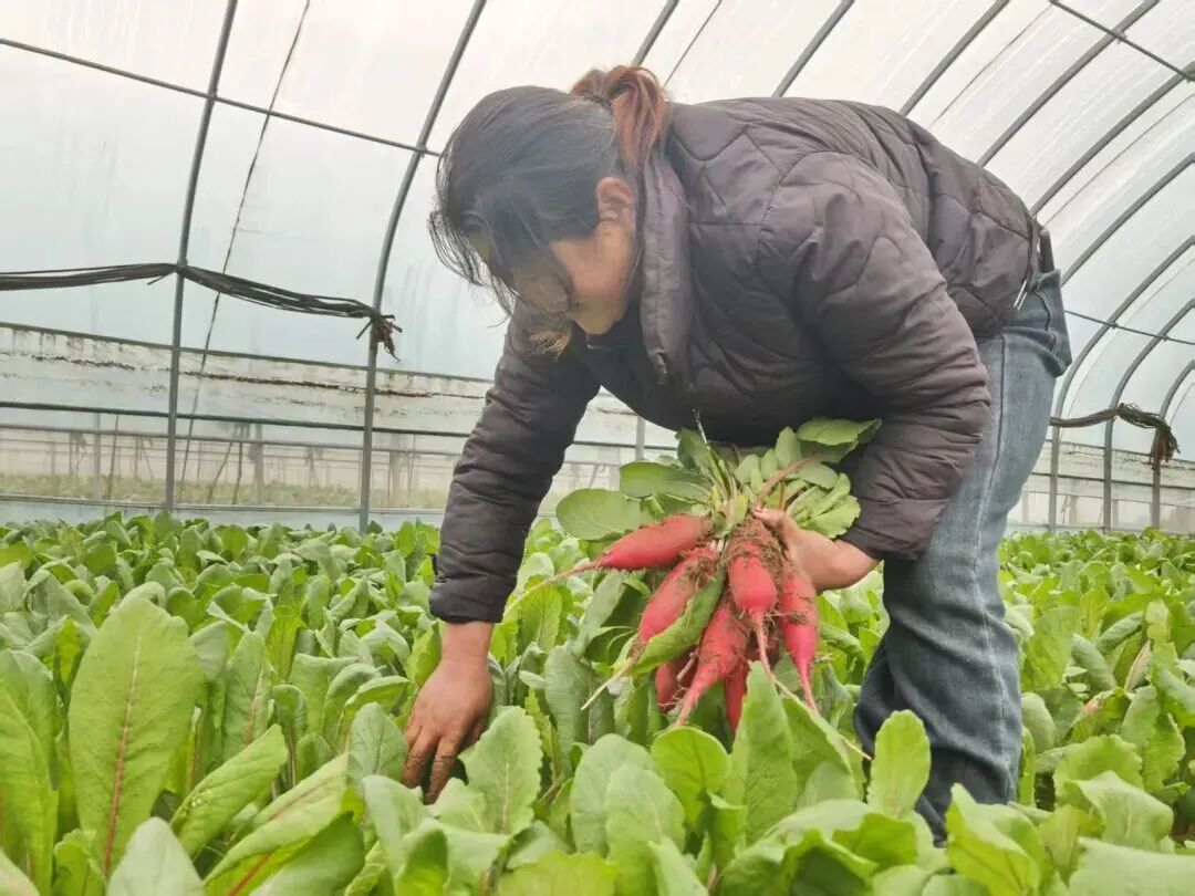 生态农业技术与产业化_农谚与科技融合_传统农谚精准农业