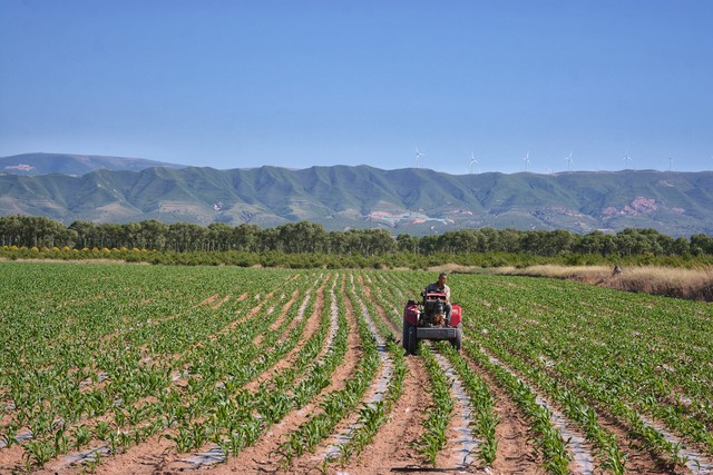 生态农业技术与产业化_科技赋能农业高质量发展_新时代农村农业绿色转型
