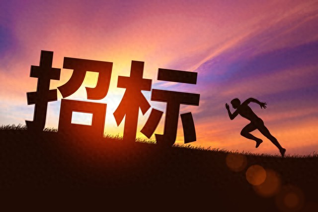 投标自查清单_投标常见错误_标书封面与封皮图片