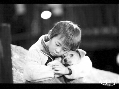 深圳dv生活频道直播_深圳影视产业发展_深圳影视品牌