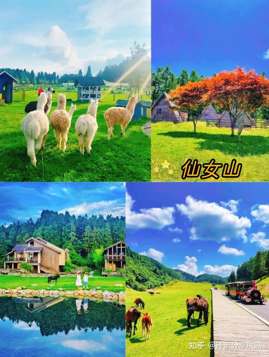 重庆美食探索_重庆科技馆外观_重庆旅游攻略