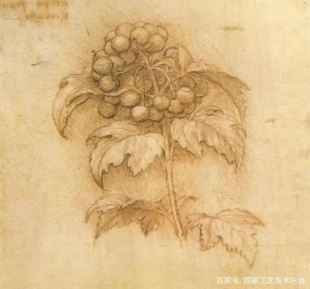 素描大师作品_伦勃朗素描技法_伦勃朗素描好高清