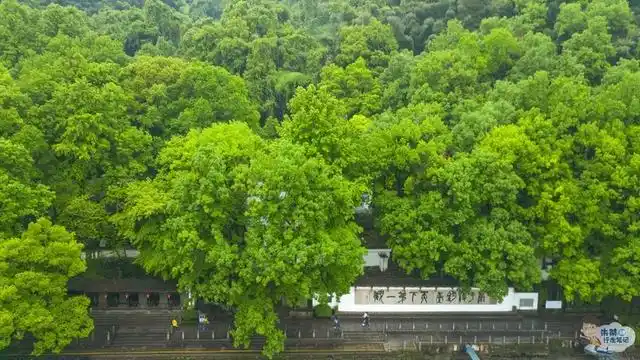 富春江游船攻略_富春江小三峡图片_严子陵钓台船票信息