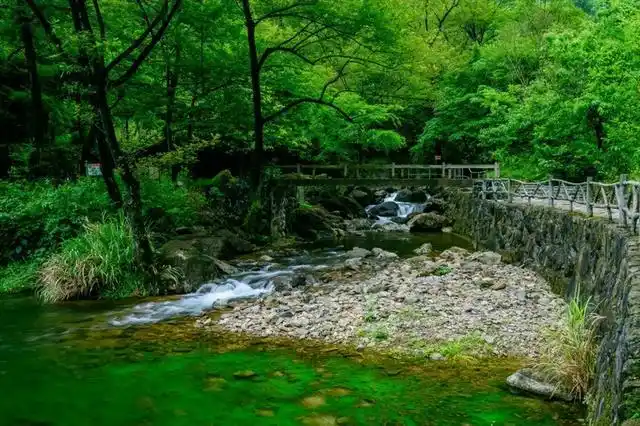 严子陵钓台船票信息_富春江游船攻略_富春江小三峡图片