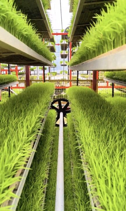 生态农业 农业生态经济 复合生态系统_智能农耕_北斗导航精准农业