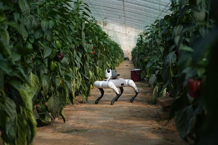 生态农业 农业生态经济 复合生态系统_智能农耕_北斗导航精准农业