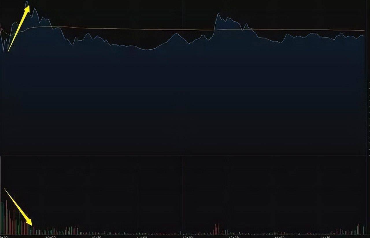 股票价量分布图怎么看_分时图看懂技巧_分时图买卖点形态